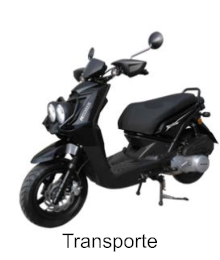 Transporte