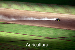 Agricultura